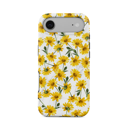 BA_07_IP17AIR_TH-magsafe