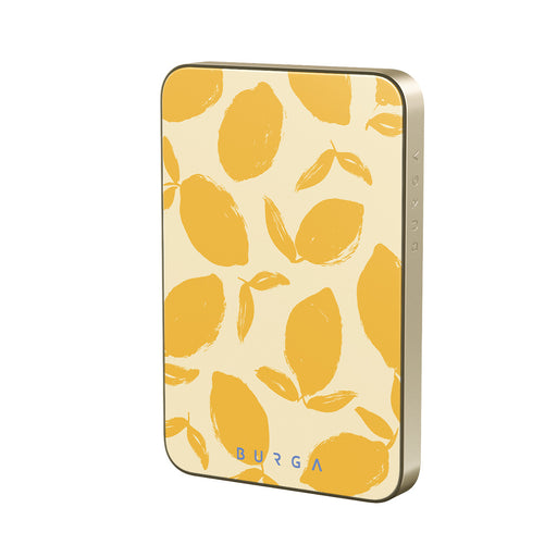 CP_02MS_MagPbank5K-GO