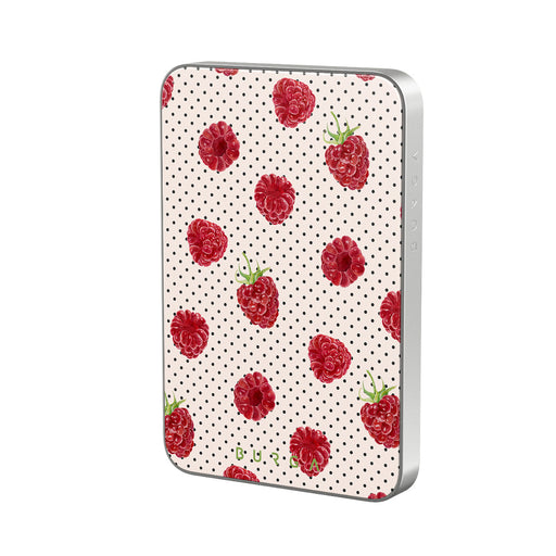 CP_04MS_MagPbank5K-SI