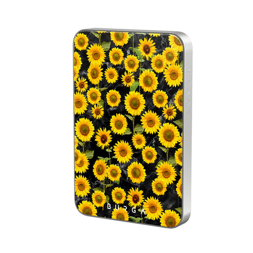 FA_29MS_MagPbank5K-SI