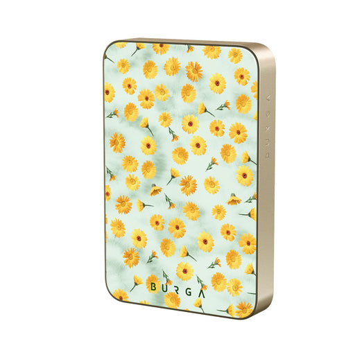 RL_02MS_MagPbank10K-GO