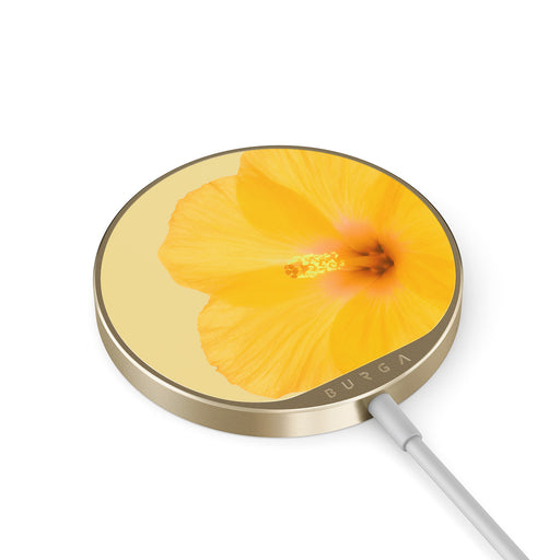 RS_20MC_MAGNETIC_WRLS_CHRG-GOLD